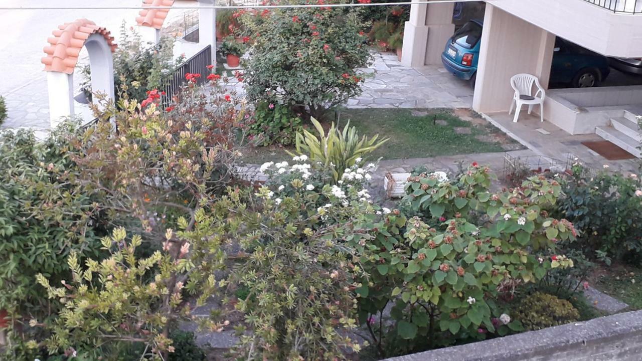 The Swan And The Gull, Porto Rafti Yacht Harbor Apartment Exteriér fotografie
